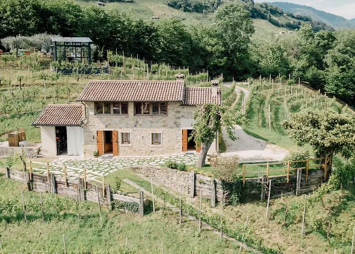 Agriturismo Il Conte Vassallo